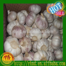 Fabricante de ajo fresco blanco de China